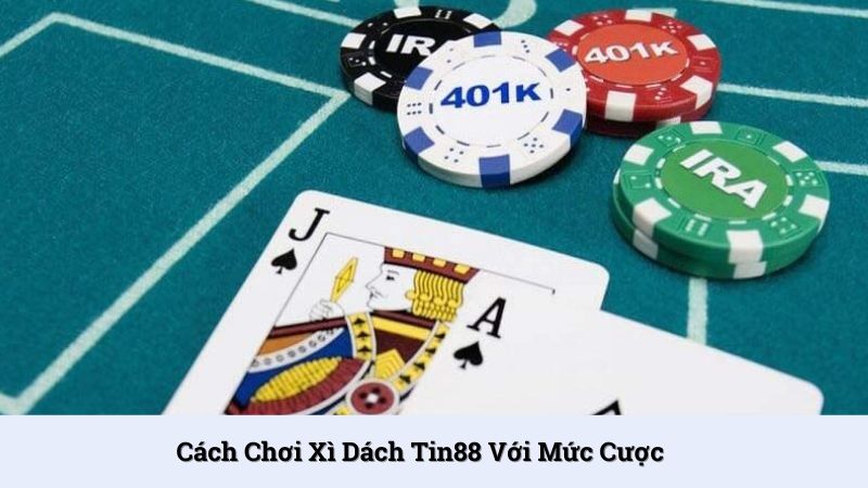 Cách chơi xì dách với mức cược thấp khi nhập cuộc