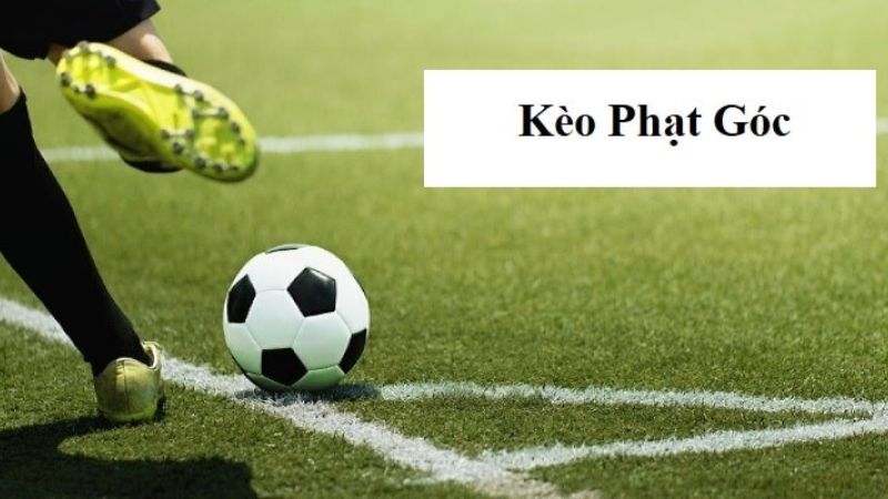 Hiệp 1 thường diễn biến ít bất ngờ hơn so với hiệp 2