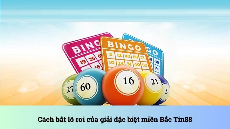 Cách bắt lô rơi của giải đặc biệt miền Bắc chuẩn xác nhất