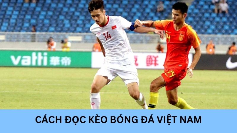 Cách đọc kèo bóng đá Việt Nam cho người mới bắt đầu cá cược