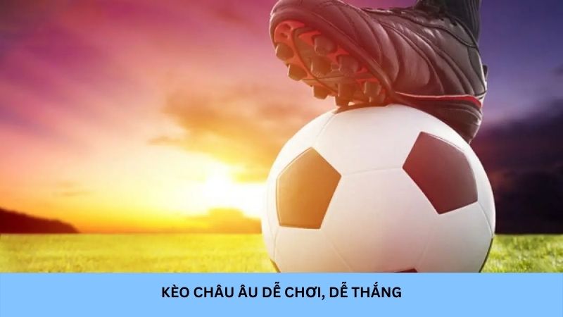 Cách đọc kèo bóng đá Việt Nam đối với kèo châu Âu